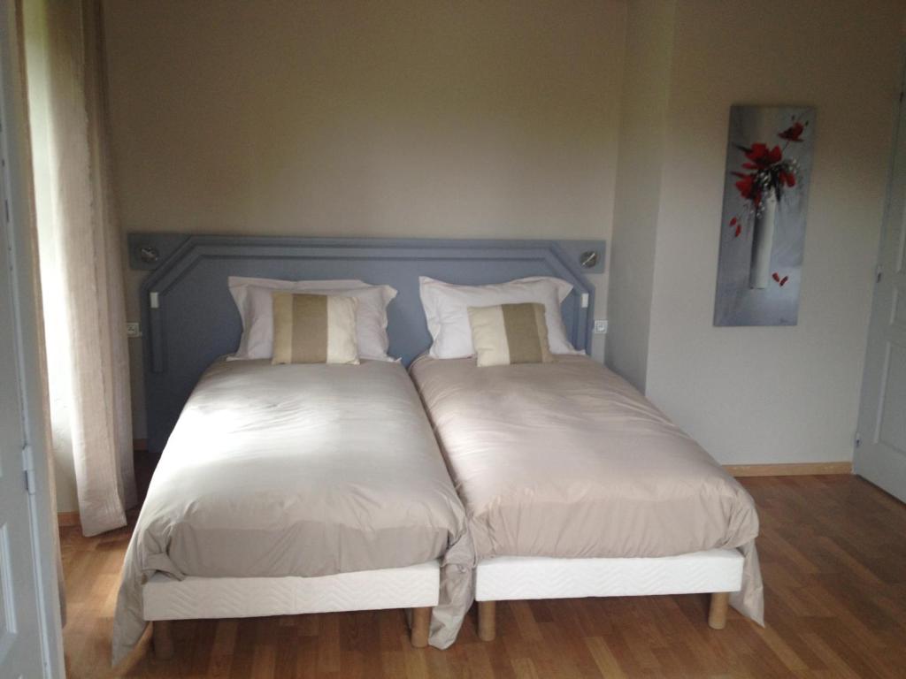 Imagen 5